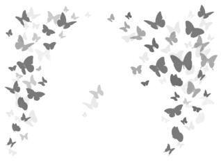 Plakat Flying black silhouettes of butterflies.Vector design element 