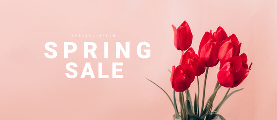 Beautiful composition spring flowers for mothers day. Bouquet of red tulips flowers on pastel pink background.