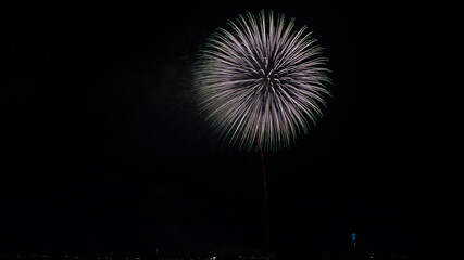 Fototapeta premium fireworks in the night sky