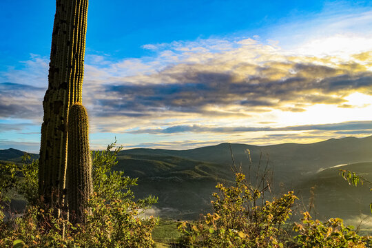 Paisaje Mixteco