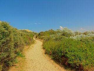 Fototapeta na wymiar Path through a dune landscape along the Opal North Sea coast