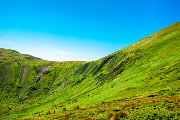 beautiful, summer slopes of mountains covered with green young grass against the blue sky, travel. High quality photo