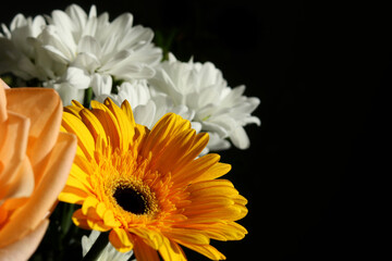Bright colorful flowers in a bouquet close-up on a black background, a place for your text
