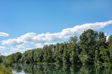 A beautiful landscape of the river surrounded by trees on a sunny summer day under blue sky. Concept: summer.