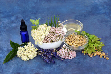 Healing herbs of valerian, lavender, elderflower and chamomile used in preparation of natural...