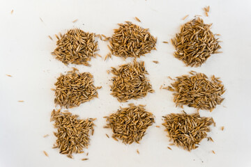 Top view of 9 piles of oat seeds on white background