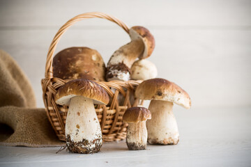 heap of fresh harvested forest mushrooms in basket