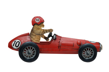 A beige cat in a protective helmet drives a retro red sports car. White background. Isolated.