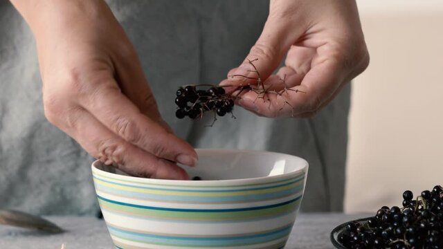 Separating fresh elderberries from the twig - preparation of a homemade antiviral black elder syrup