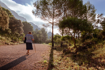 Caucasian senior woman seen from behind walking down an asphalt path in a natural setting of a Mediterranean forest in early autumn, early morning. 