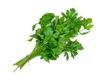 A bunch of fresh parsley isolated on a white background