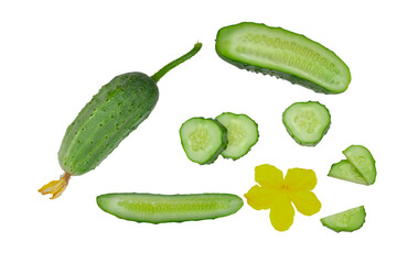 Cucumber and slices isolated on a white background, top view
