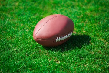 Football Ball On Grass