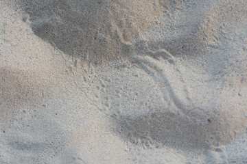 Texture of white beach sand background. - Powered by Adobe