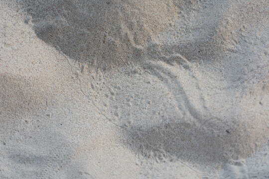 Texture of white beach sand background.