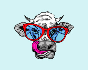 Hand-drawn cute cow in red glasses. Humor card, t-shirt composition, Vector illustration.