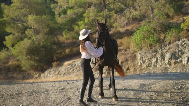 Wide shot of slim gorgeous equestrian and purebred brown stallion standing at sunset in mountains talking. Happy beautiful Caucasian woman with Russian Happiness tattoo and graceful mammal in sunshine
