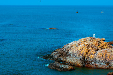 Colors borrowed from the sea