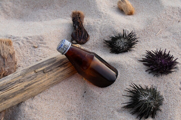 Garbage found on the beach sand in the form of bottles, wood and carcass of mackerel.