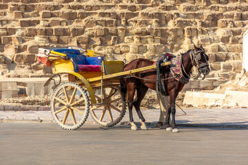 Horse carriages against the background of the pyramid of the Giza Valley