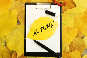 The word autumn is written on a yellow autumn sheet that lies on a stationery tablet with a white paper sheet. Background of lime yellow leaves.