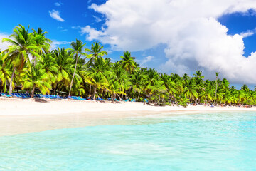 Coconut Palm trees on white sandy beach in Saona island, Dominican Republic.