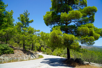 scenic green landscape on rhodes island