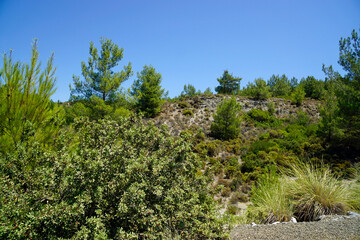 scenic green landscape on rhodes island