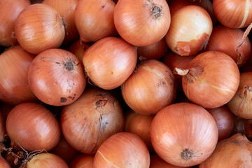 Fresh onions on the market close up photo. Onions big Golden on the counter market.