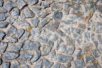 Stone pavement texture with little plants growing among them. Portugal