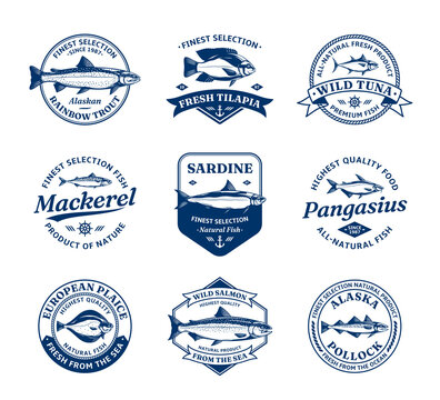 Vector fish logo and fish illustrations for fisheries, seafood markets, packaging and advertising