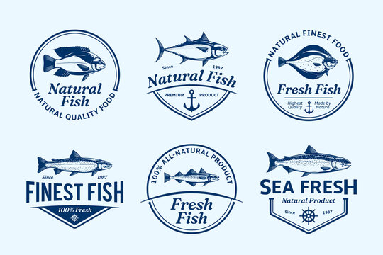 Vector fish label templates, badges and fish illustrations