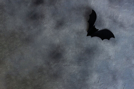 black paper bat on gray background, modern minimal design.