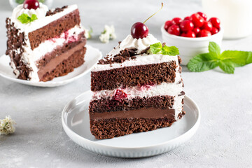 Portion of layered creamy fruit cake with in close up view. Cherry cake with chocolate. Chocolate...