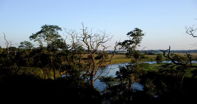 Aerial view of floodplain landscapes of river Mulde, seen from the Loreley near Oelschtz (Saxony). View over treetops with a river and a floodplain landscape (German: Muldental) at the golden hour.