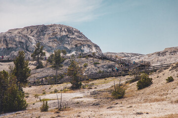 Mammoth Hot Springs