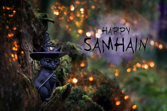 black cat toy in witch hat, autumn natural background. black cat - symbol of witchcraft, samhain sabbat and Halloween holiday. Happy Samhain greeting card