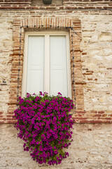 Fototapeta na wymiar Window of the town hall of Numana with fuchsia flowers, Marche - Italy