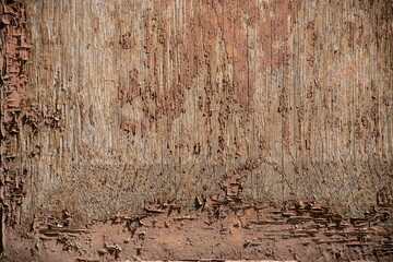 the brown wood texture with natural patterns