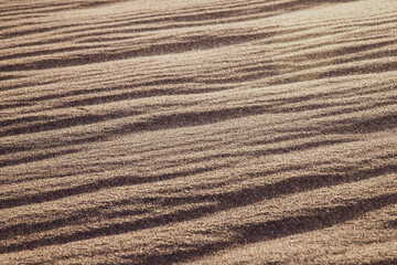 Sand dunes desert waves
