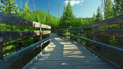 Wooden Bridge in the Forest