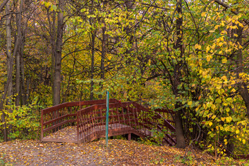Wooden ladder in the autumn park. Seasonal view in Moscow.