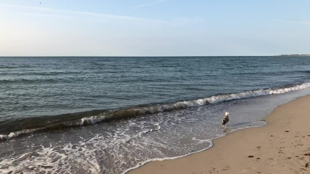Wellen am Strand der Ostsee.