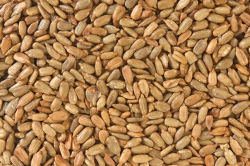 textured sunflower seeds on white background