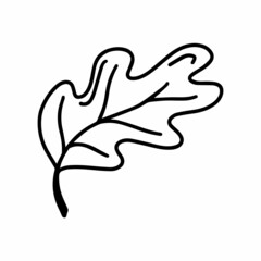 Cute doodle autumn vector oak leaf isolated on white on white background. Hand drawn vector illustration for coloring page and art books for adults and kids.