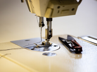 Foot, needle and thread in a sewing machine