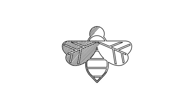 Black line Bee icon isolated on white background. Sweet natural food. Honeybee or apis with wings symbol. Flying insect. 4K Video motion graphic animation