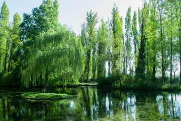 green reflections on water in Umbria