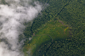 Top down aerial view of mountains covered  fog.
Treetops are covered with fog.
Colorful morning landscape.
