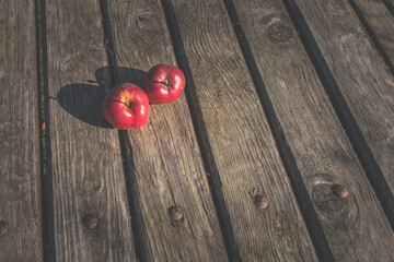 apple fruit in the autumnal nature